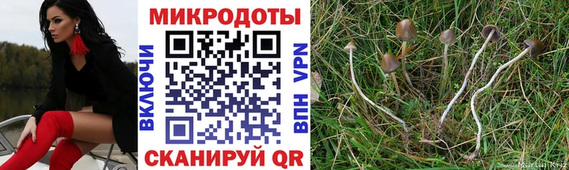 Галлюциногенные грибы Cubensis  где найти   ссылка на мегу ссылка  Нефтекамск 