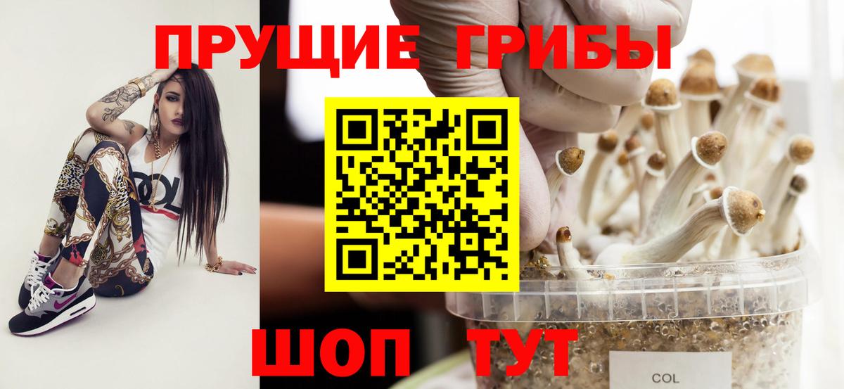 Галлюциногенные грибы MAGIC MUSHROOMS Нефтекамск